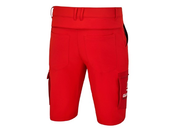 pho_gg_pw_pers_rs_3gg25002260x_team_shorts_back__sall__awsg__v1