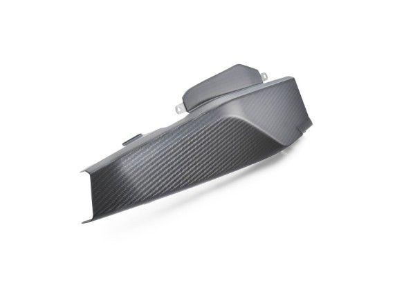 pho_pp_nmon_621913_a67404946088_swingarm_protection_studio_pictures_street__sall__awsg__v1