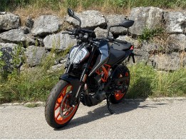 390 DUKE