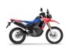 HONDA CRF300L Rally, 0016716