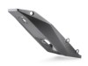 pho_pp_nmon_530473_a60708919000_rear_fairing_studio_pictures_street__sall__awsg__v1