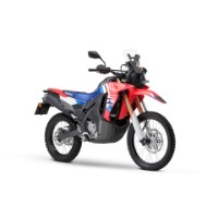 CRF300L Rally Tageszulassung