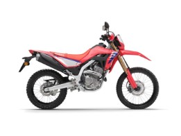 CRF300L