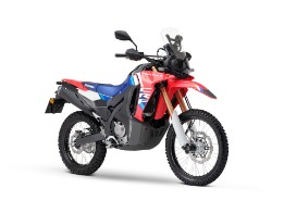 CRF300L Rally