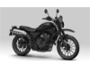 08HME-MLP-STS_Style_Paket_CL500 schwarz