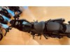HONDA CMX1100 Rebel DCT, 0005298