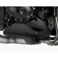 Bugspoiler CB1000 Hornet 2025-