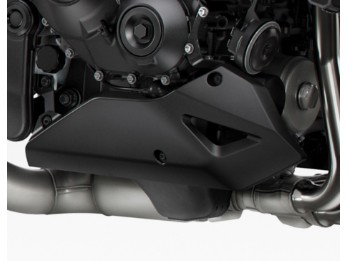 Bugspoiler CB1000 Hornet