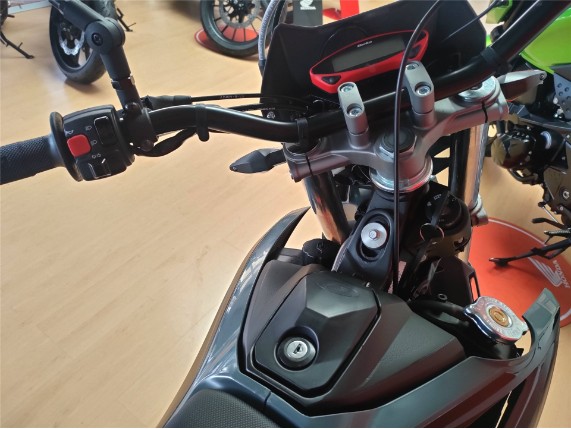BETA BETA RR50 X EDITION 24, ZD3C50025R0312420