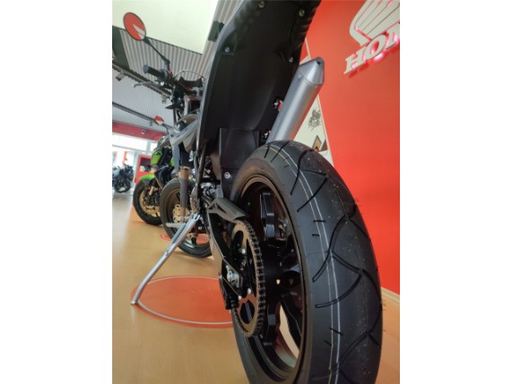 BETA BETA RR50 X EDITION 24, ZD3C50025R0312420