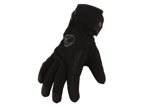 GAM350T5, HS LADY SILVIA