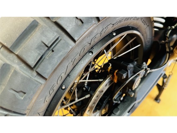 TRIUMPH TIGER 900 RALLY PRO, 0005980