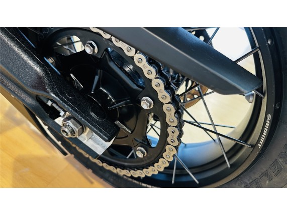 TRIUMPH TIGER 900 RALLY PRO, 0005980