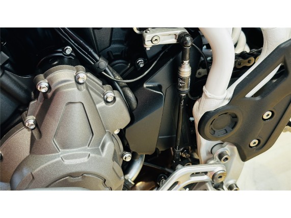 TRIUMPH TIGER 900 RALLY PRO, 0005980