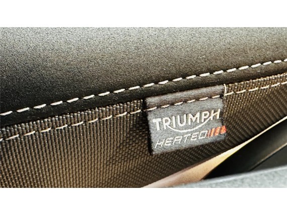 TRIUMPH TIGER 900 RALLY PRO, 0005980