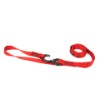 2025, SPANNGURT ACEBIKES RATCHET PREMIUM