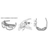 HZ00306301D, BRILLE HD MARCO FLAMES