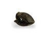 1501G, BRILLE WILEY X LYNX MATTE ARMY GREEN