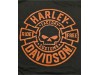 40294611L, T-SHIRT HD BRAVADO ARRIVAL
