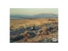 6079, PUZZLE HD PRIME MOUNTAIN VIEW