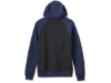 96523-23VM/000L, SWEATER HARLEY STAPLE RAGLAN HOODIE