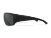 ACOME01, BRILLE WILEY X OMEGA GREY