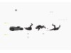 crash-sj_vettoriali_web-04