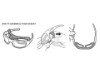 HZ00446581S, BRILLE HD MARCO GENERA BLING