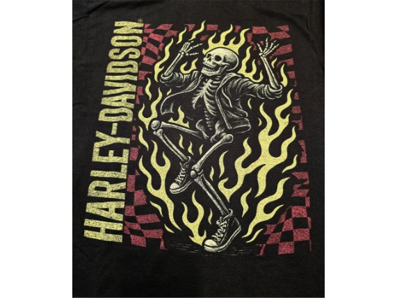 40294625L, T-SHIRT HD BRAVADO KICKS