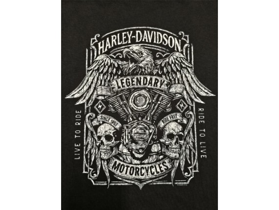 40294626L, T-SHIRT HD BRAVADO NAVIGATOR