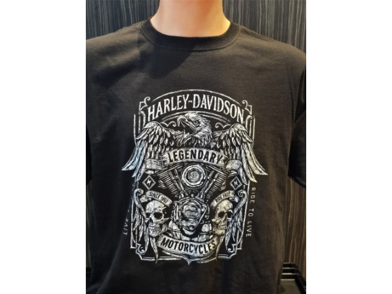 40294626L, T-SHIRT HD BRAVADO NAVIGATOR