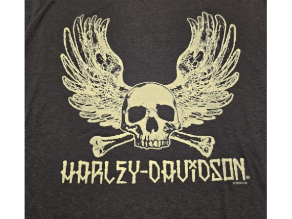 40294627L, T-SHIRT HD BRAVADO PUNK