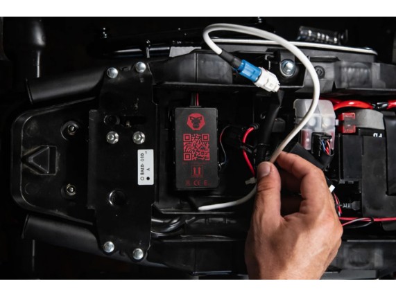 689001-00-001-EH, RIDELINK WINGMANN