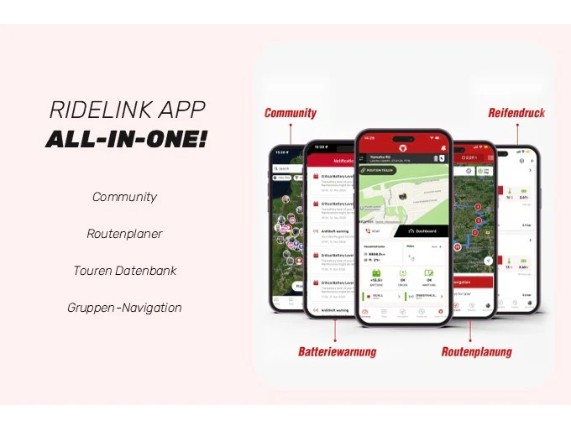 689001-00-001-EH, RIDELINK WINGMANN