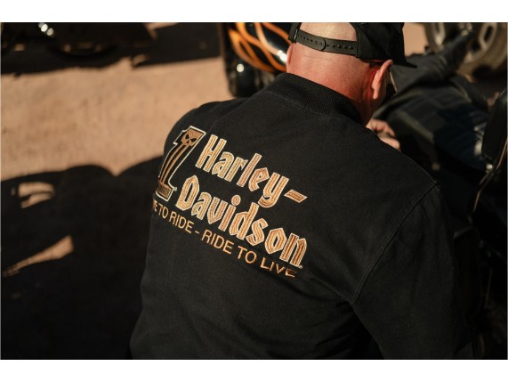 97418-26VM/000L, JACKE HARLEY WILLIE G DARK CUSTOM