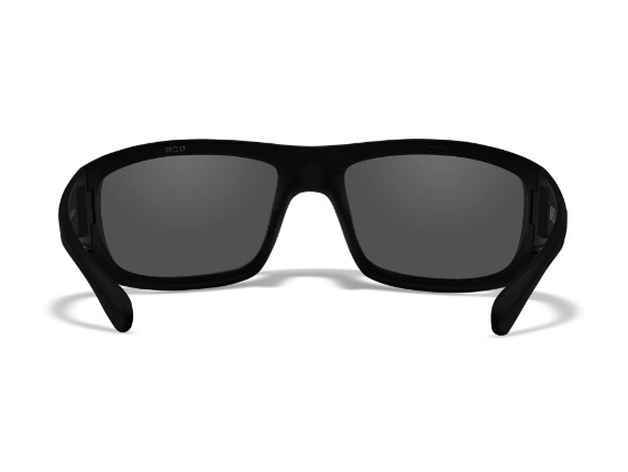 ACOME01, BRILLE WILEY X OMEGA GREY