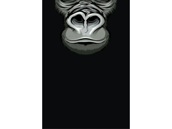 PI-S-74, HALSTUCH PIWEAR MONKEY 3