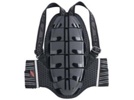 Rückenprotektor Shield Evo x6