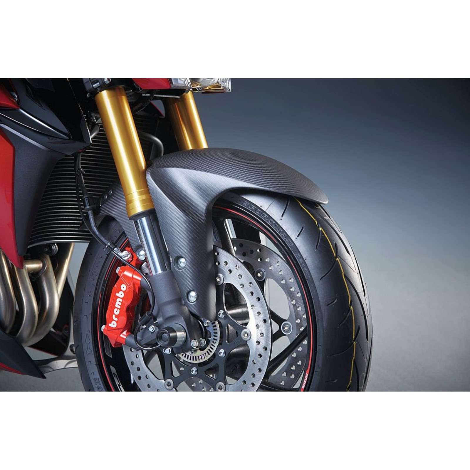 Schutzblech Carbon GSX-S 1000 /F