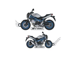 Schlüsselanhänger SV 650