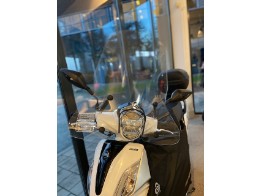 Verkleidungsscheibe Symphony ST 50/125 I
