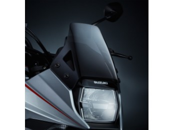 Windschild