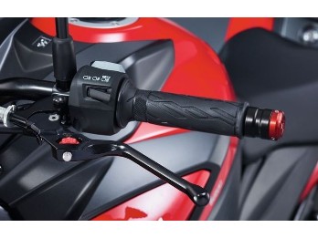 Lenkergewichte für GSX-S 750