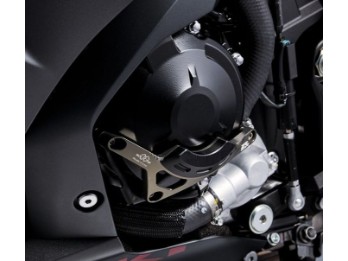 Lichmaschinendeckel Protektor für GSX-R 1000 / R `17-
