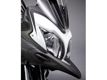 Verkleidung Front Schnabel DL 650 Kit !