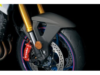 Carbon Koftlügel GSX-S 1000