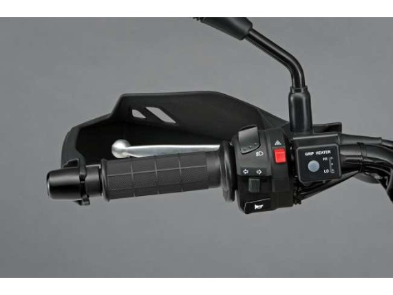 57100-21810-000, Griffheizung DL 250 `17-