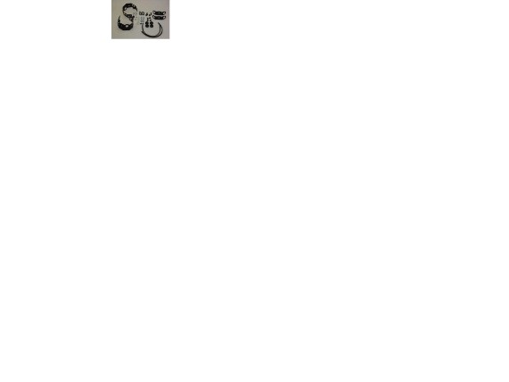 990D0-31J30-000, NEBELSCHEINWERFER SCHUTZ