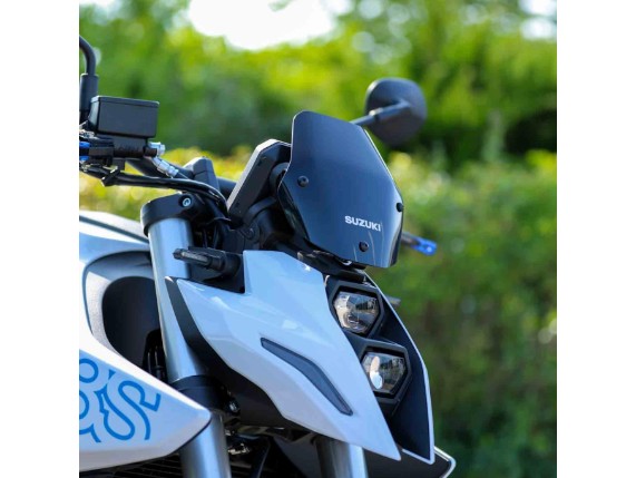 Suzuki GSX-8 S, 0010390