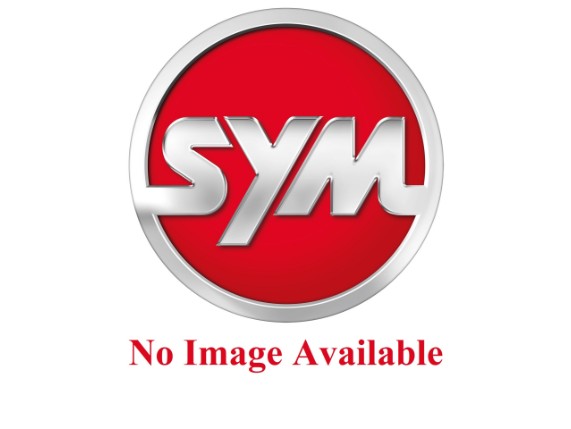 SY810-ADX-000, Gepäckträger ADX 300